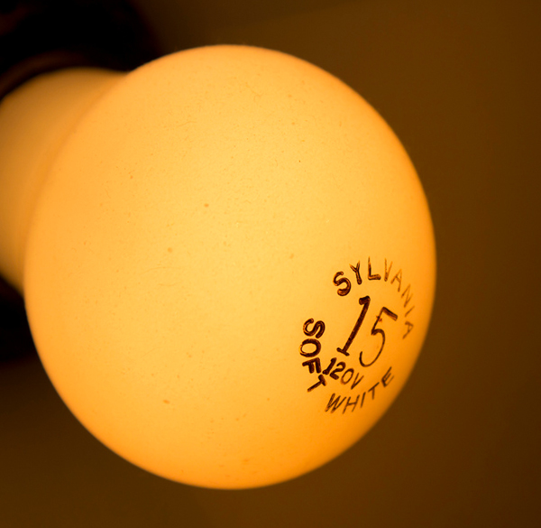 Light Bulb