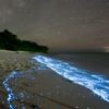 Blue Glowing Light Beaches