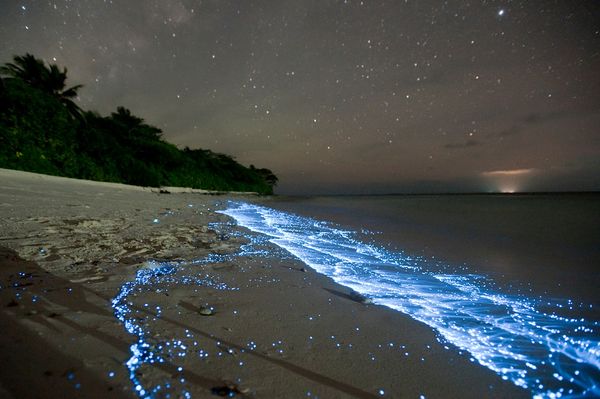 Blue Glowing Light Beaches
