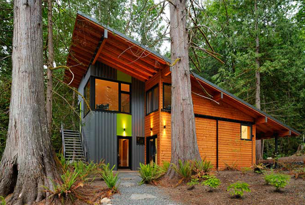Interior Design Mountain House