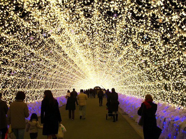 Winter Light Display Japan Botanical 01