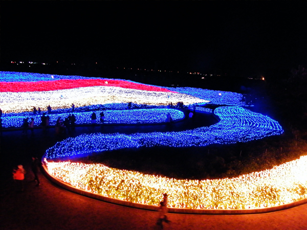 Winter Light Display Japan Botanical 02
