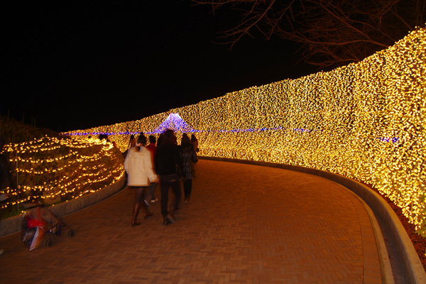 Winter Light Display Japan Botanical 03