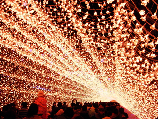 Winter Light Display Japan Botanical 04